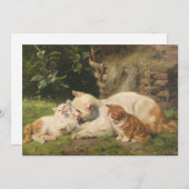 Carte Mère Chat avec chatons | Julius Adam le Jeune (Devant / Derrière)