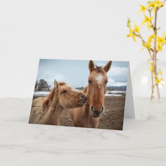 Carte Mère Cheval et poulain (Fleur jaune)
