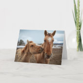 Carte Mère Cheval et poulain (Devant)