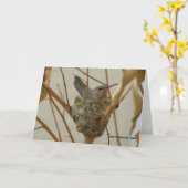 Carte Mère Colibri (Fleur jaune)