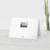 Carte Mère... Comme Un Colibri (Dos)