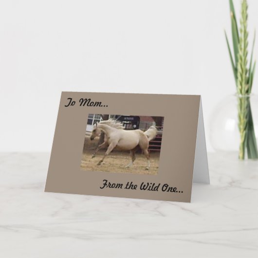 Carte Mère - Du Far One (Devant)