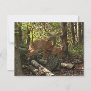 Carte Mère et bébé cerf au Parc national de Shenandoah