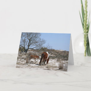 Carte Mère et bébé cheval au parc national d'Assateague