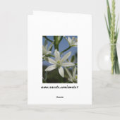 Carte mère Fleurs blanches (Dos)