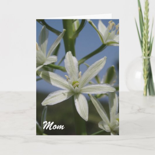 Carte mère Fleurs blanches (Devant)