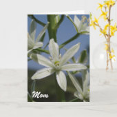 Carte mère Fleurs blanches (Fleur jaune)