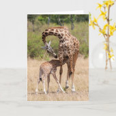 Carte Mère girafe et bébé au Kenya (Fleur jaune)