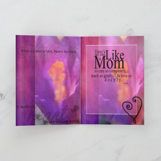 Carte Mère spéciale (Intérieur)