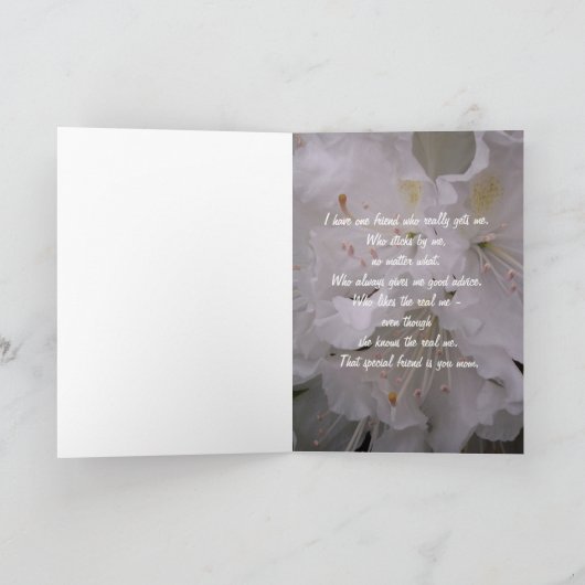 Carte Mère très spéciale (Intérieur)