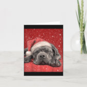 Carte Merry Christmas Cane Corso  (Devant)