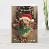 Carte Merry Christmas Dog (Devant)