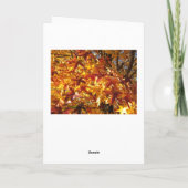 Carte Merveille de la création/automne (Dos)