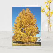 Carte Merveille de la création/automne (Fleur jaune)