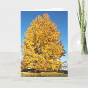 Carte Merveille de la création/automne