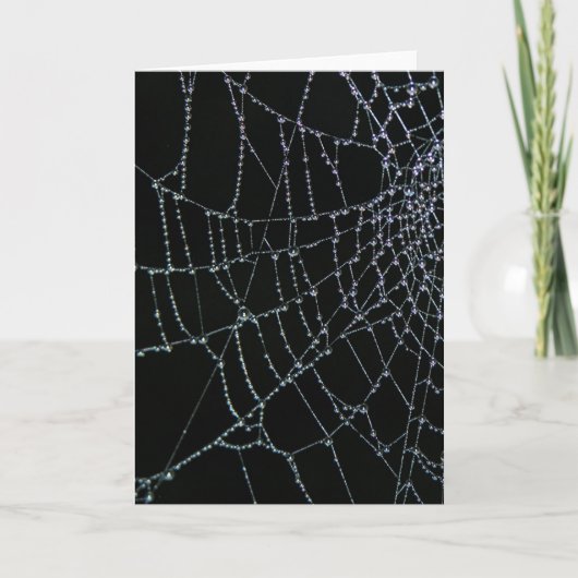 Carte Merveille de Web (Devant)