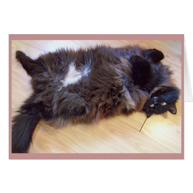 Carte merveilleuse de jour (Devant horizontal)