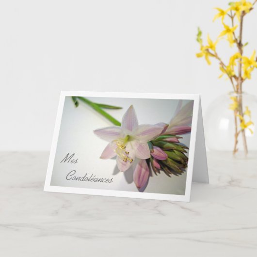 Carte Mes Condoléances, Sympathie en français, Fleur d'H (Fleur jaune)