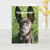 Carte MES "OREILLES" SONT SÛREMENT PRISES EN CHARGE "13e (Fleur jaune)