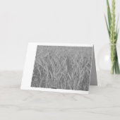 Carte Mes sincères condoléances ! (Dos)