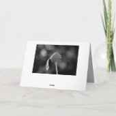 Carte Mes sincères condoléances ! Avec une fleur jaune (Dos)