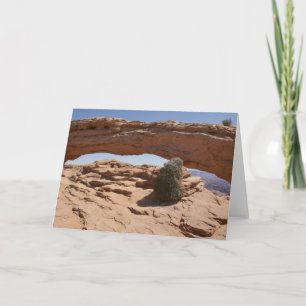 Carte Mesa Arch et Tumbleweed à Canyonlands