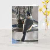 Carte Mésange (Fleur jaune)