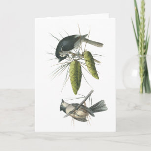 Carte Mésange tuftée, John Audubon