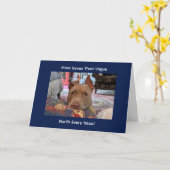 Carte Message drôle d'un Pit Bull nécessiteux (Fleur jaune)
