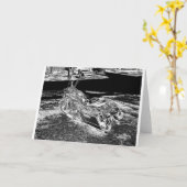 Carte Métal lourd (Fleur jaune)