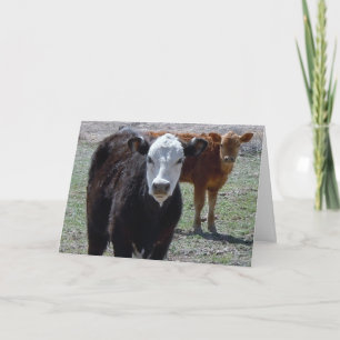 Carte Mete Félicitations Vet Graduate - Ranch Farm DVM