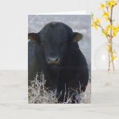 Carte Mete Graduation Félicitations Ranch Farm Bull (Fleur jaune)