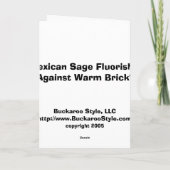 Carte Mexique Des Flûtes De Sage Contre Des Brindilles C (Dos)