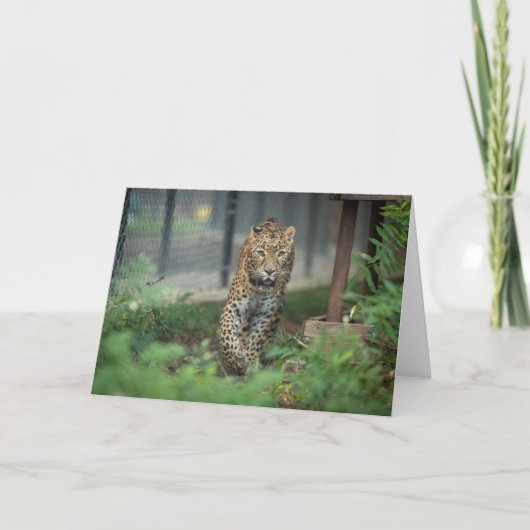 Carte Mia - (Devant)