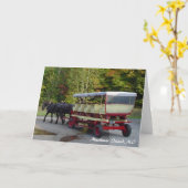 Carte michigan_trip 024, île de Mackinac, MI (Fleur jaune)