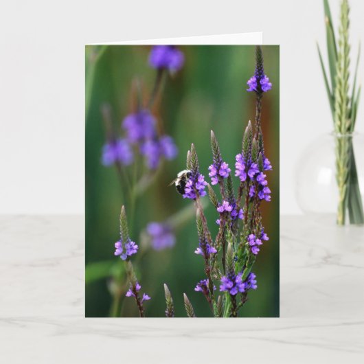 Carte Miel Bee (Devant)