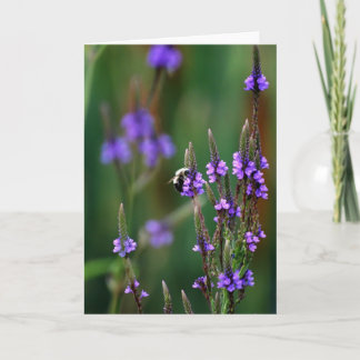 Carte Miel Bee