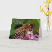 Carte Miel Bee (Fleur jaune)