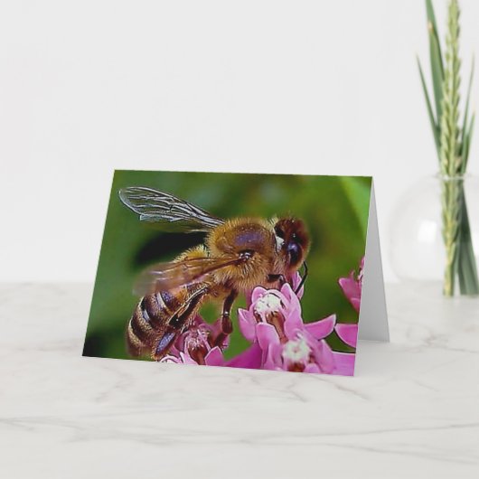 Carte Miel Bee (Devant)