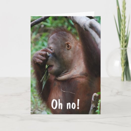 Carte Mignon 30e anniversaire animal photo (Devant)