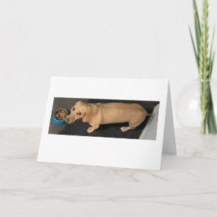 Carte Mignon Déjeunons Ensemble Dachshund