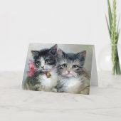 Carte Mignon et encore plus mignon, adorables chatons, (Devant)