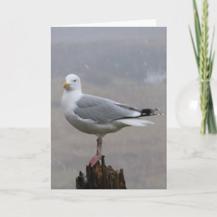 Carte Mignon goéland perché sur un poteau en bois paysag