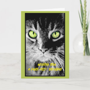 Carte mignonne chaton anniversaire photo art humour