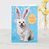 Carte Mignonne Chiot Portant Des Oeufs-Tri Des Oreilles (Fleur jaune)