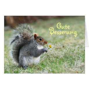 Carte mignonne d'écureuil de Gute Besserung