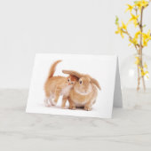 Carte mignonne_drôle_animaux_8 chaton lapin lapin amis (Fleur jaune)