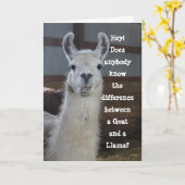 Carte Mignonne Humour Llama Anniversaire (Fleur jaune)