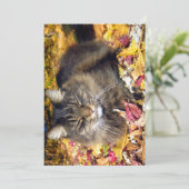 Carte Mignonne Maine Coon Le Si Heureux (Debout devant)