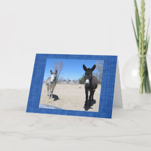 Carte Mignonne Vet School Graduate Western Ranch Farm DV